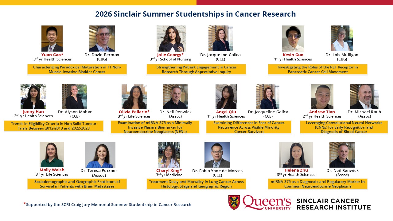 2026 summer studentships in cancer research