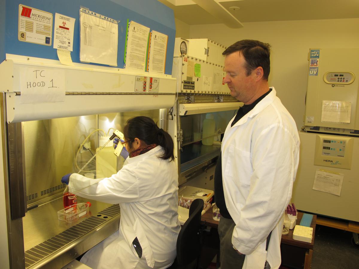 Stopping cancer in its tracks