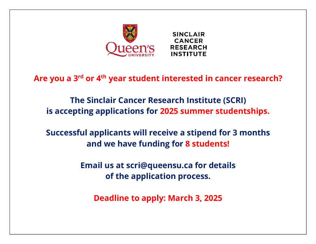 Summer Studentships 2025