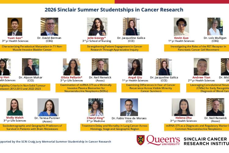 2026 summer studentships in cancer research