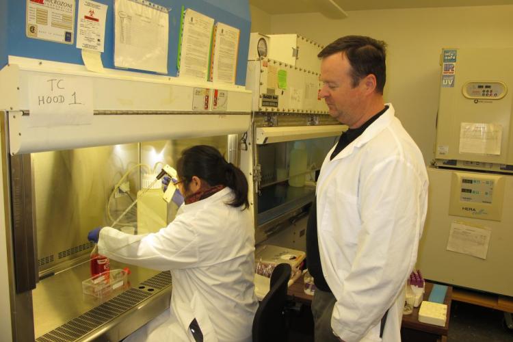 Stopping cancer in its tracks