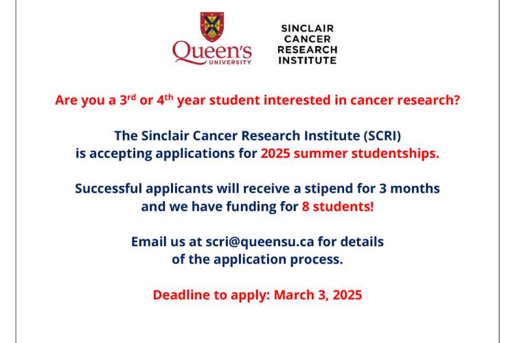 Summer Studentships 2025